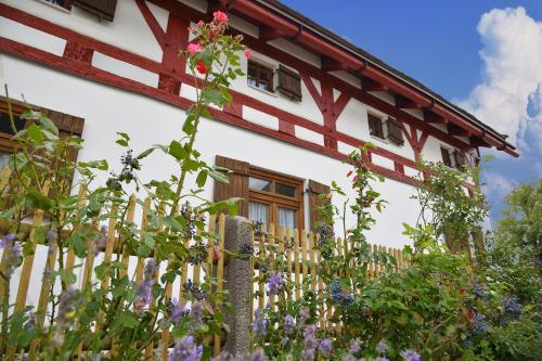 Κήπος έξω από το Jurahaus Hirschberg