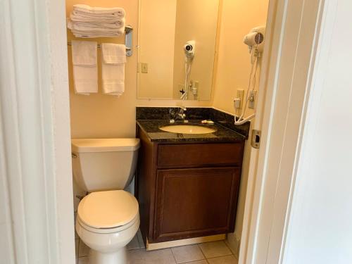 a bathroom with a toilet and a sink at Sandusky Inn in Sandusky