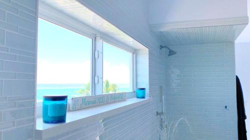 a bathroom with a window and a window sill with a windowurrection at Mika's Resort in Colebrooke Dale