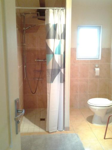 a bathroom with a shower and a toilet at La Parisiere in Gavray