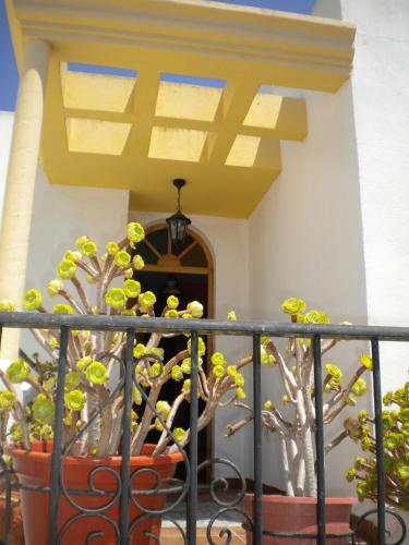 a balcony with two plants and a ceiling at Casa Cabo de Gata in Retamar