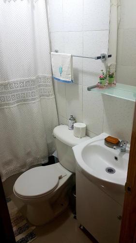 a bathroom with a white toilet and a sink at Montblanc in Las Trancas