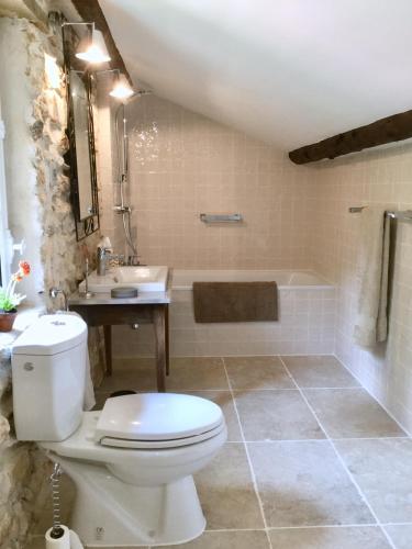 une salle de bain avec toilettes, lavabo et baignoire dans l'établissement 19C Provencal Stone House with Private Pool near Uzes, à Uzès