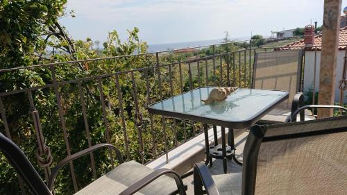 a small cat sitting on a table on a balcony at Stone house with seaview in Nea Potidaea
