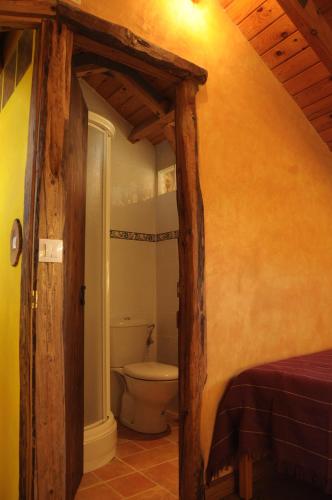 a bathroom with a toilet in a room at O´Porron in Sabiñánigo