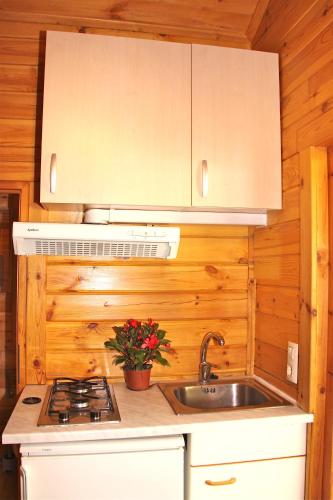 Кухня или мини-кухня в Camping Abadesses
