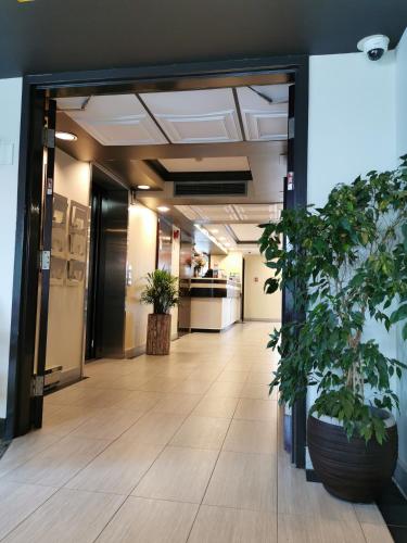 an office corridor with potted plants in a hallway at Auberge de la Gare in Gatineau