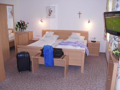 - une chambre avec un lit, une télévision et une valise dans l'établissement Landhaus Brummer, à Bad Birnbach