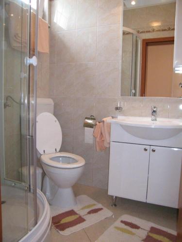 a bathroom with a toilet and a sink and a shower at Apartments Stengl in Rab