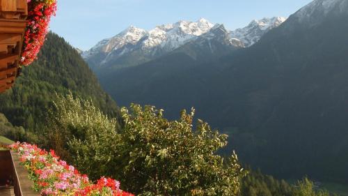 Ferienwohnungen Schöpf