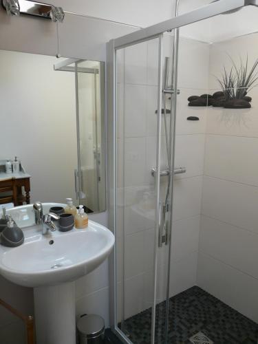 une salle de bain avec un lavabo et une douche dans l'établissement La Promenade en Champagne, à Mussy-sur-Seine