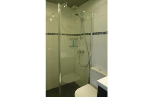 StavenisseにあるOud Kempen Bungalow 7のバスルーム(シャワー、トイレ付)