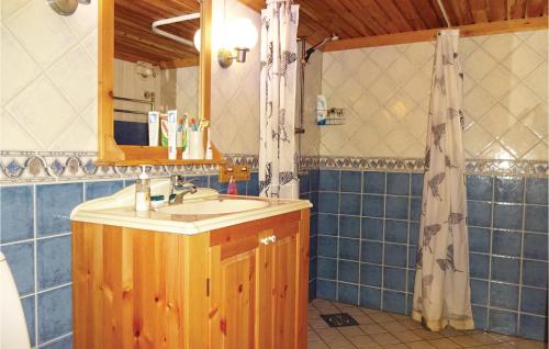 een badkamer met een wastafel en een douche bij Beautiful Home In Vilshult With Kitchen in Vilshult