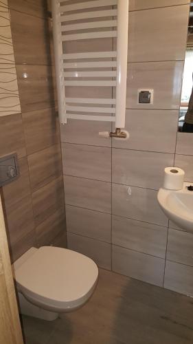 a bathroom with a toilet and a sink at Pokoje gościnne Pod Limbami in Male Ciche