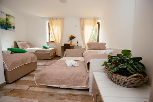 een kamer met drie bedden en een plant in het midden bij Sunny Rooms in Most na Soči