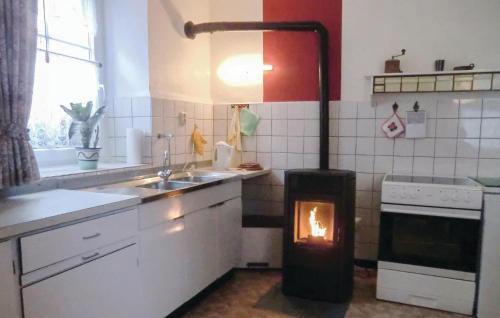 eine Küche mit einem Holzofen in der Unterkunft Awesome Apartment In Gerolstein-mllenborn With Kitchen in Roth