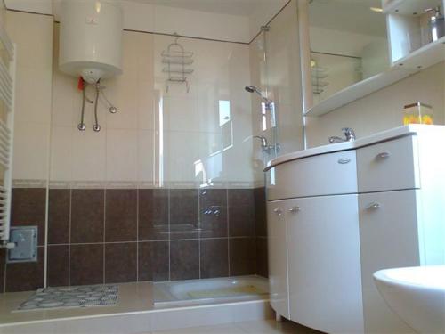a bathroom with a shower and a toilet and a sink at Apartments Edo in Novigrad Istria