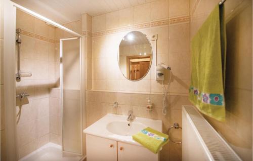 uma casa de banho com um lavatório, um espelho e um chuveiro em Haus Engel-uriel em Steffeshausen