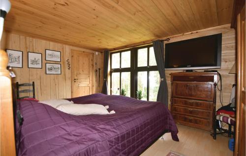 um quarto com uma cama e uma televisão de ecrã plano em Nice Home In Mellerud With Sauna em Torp