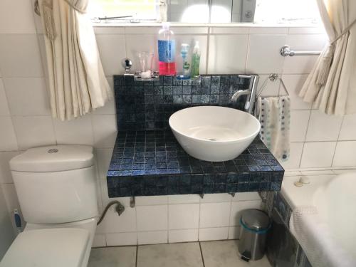 a bathroom with a sink and a toilet at Sleepers Villa Guesthouse in Polokwane