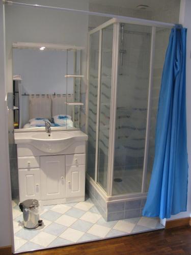 a bathroom with a shower and a sink at Gîte Aristide Mont Saint Michel in Sacey