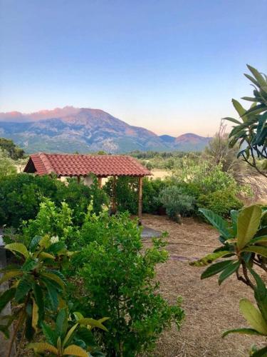 a house with a roof with mountains in the background at Villa Vasiliki in Palioúras