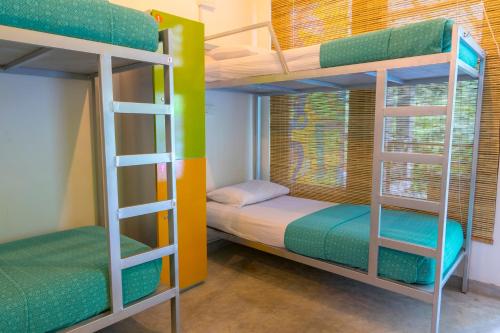 Gallery image of Bunk Station in Ella