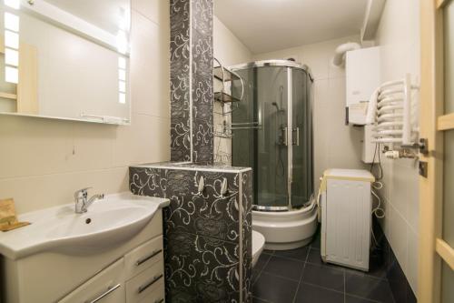 a bathroom with a shower and a sink and a toilet at Krynica Apartamenty Rodzinny Apartament w Centrum 43 in Krynica Zdrój