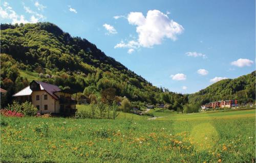 a house in a field with a mountain at Beautiful Apartment In Lasko With Wifi in Laško