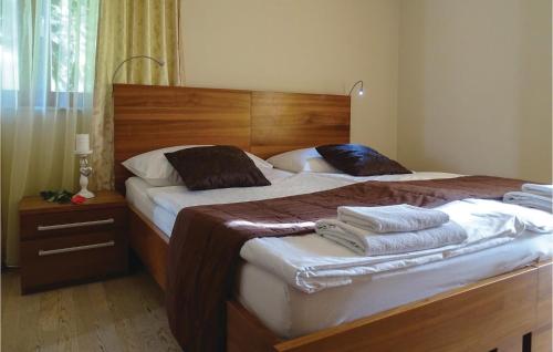 Легло или легла в стая в Stunning Apartment In Lasko With Kitchen