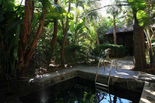 a swimming pool in the middle of a garden at Misty Hills Country Hotel, Conference Centre & Spa in Muldersdrift