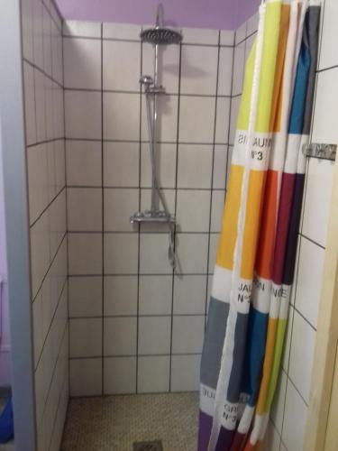 La salle de bains est pourvue d'une douche avec un rideau de douche coloré. dans l'établissement les murets, à Saint-Aignan