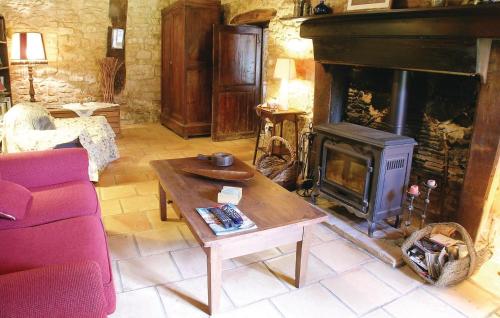 - un salon avec une cheminée et une table basse dans l'établissement Holiday Home Le Coussot, à Beaulieu-sur-Sonnette