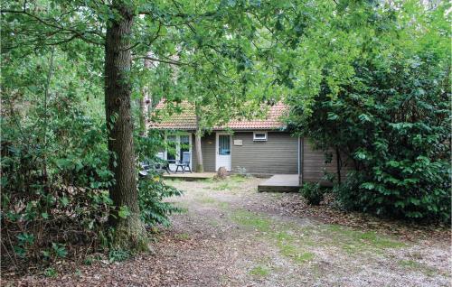 Boshut – Photos 3