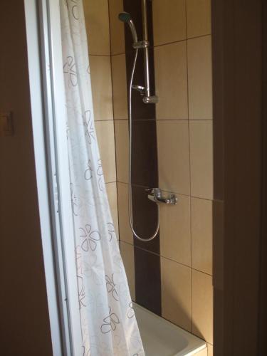 a shower with a shower curtain in a bathroom at Casa Ildikó in Sovata