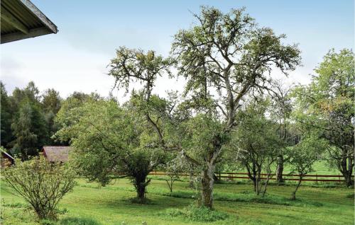ビンメルビューにあるHoliday Home Vimmerby Xxxiiiの塀を持つ畑の木々