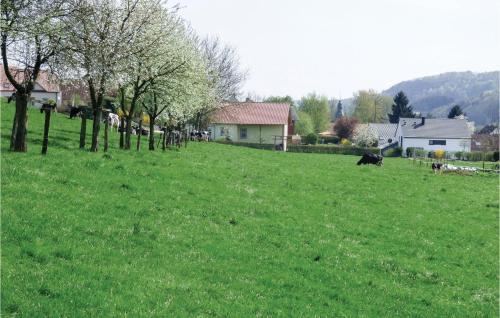 a group of cows laying in a field of grass at Cozy Home In Körperich-Obersgegen in Obersgegen