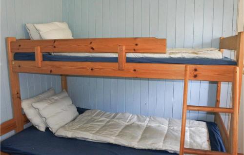 a couple of bunk beds in a room at Pet Friendly Home In Sannidal With Kitchenette in Sannidal