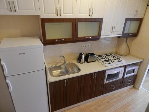 a small kitchen with a sink and a refrigerator at Hagia Sophia Apartment in Istanbul