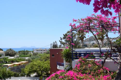 a bunch of pink flowers in front of a building at Porto Galini in Agia Galini