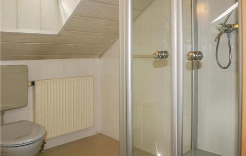 キルヒハイムにあるFerienhaus 15 In Kirchheimのバスルーム(トイレ、ガラス張りのシャワー付)