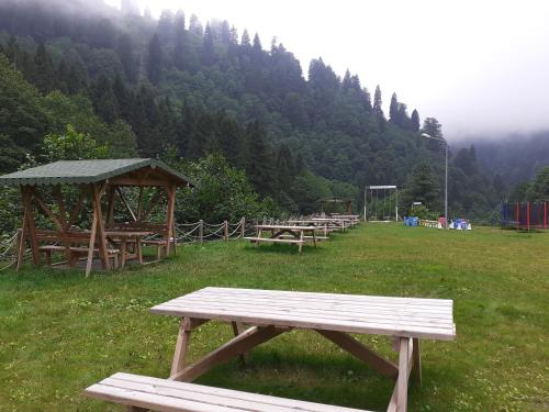 Photo de la galerie de l'établissement Kackar Resort Hotel, à Ayder Yaylasi