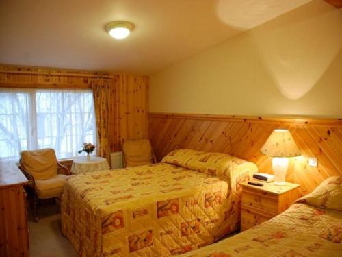 una habitación de hotel con 2 camas y una lámpara en Hawthorn House Guesthouse en Kenmare