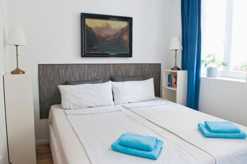 a bedroom with a bed with two blue pillows on it at Beautiful Park Apartment for 4 Guests in Berlin