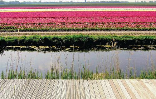 Appartement Tulp – Photos 3
