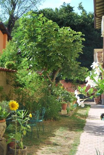 Bergamo Bassa – Photos 5