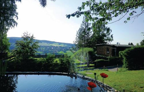a pond in a garden with a house in the background at Holiday home Am Hohen Rad W in Schwarzenberg