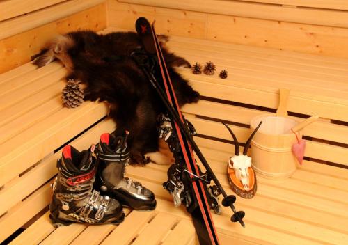 a dog laying in a sauna next to some shoes at Jagdhof Ligedl in Mayrhofen