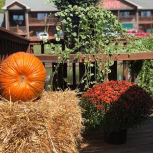 Galería fotográfica de Bullwinkles Rustic Lodge en Poplar Bluff