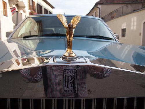 a front end of a car with a gold ribbon on it at Boutique Hotel Ur-Wachau in Weissenkirchen in der Wachau